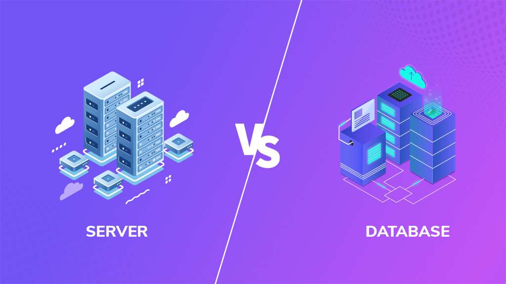 Difference between Server and Database | BigCloudy 