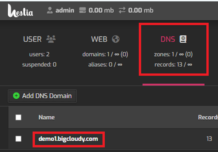 Add DNS Domain in Hestia | BigCloudy KB 