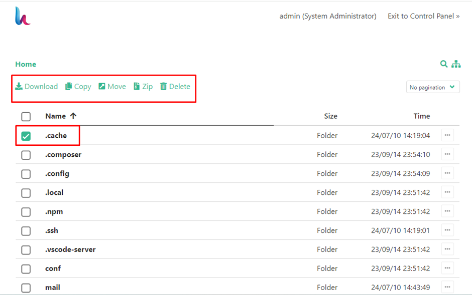 File Manager in Hestia | BigCloudy KB 