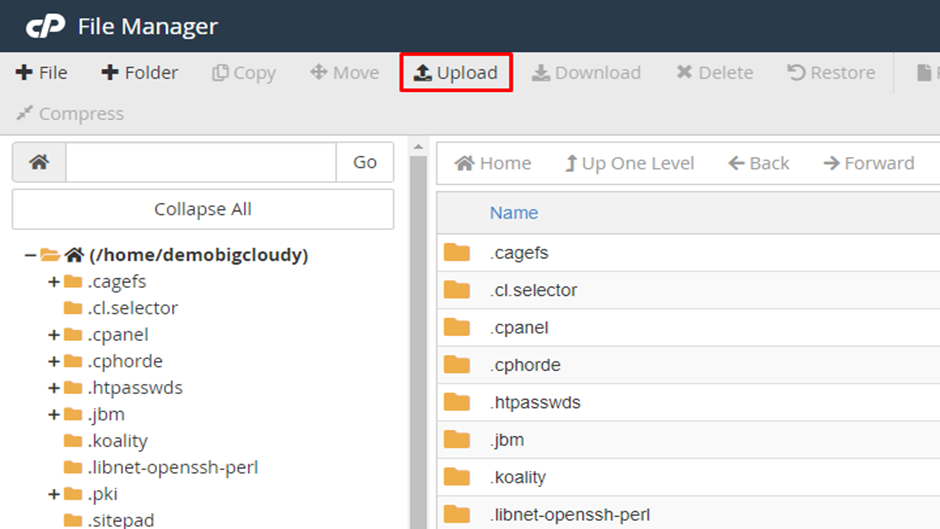 Upload Files in cPanel | BigCloudy KB