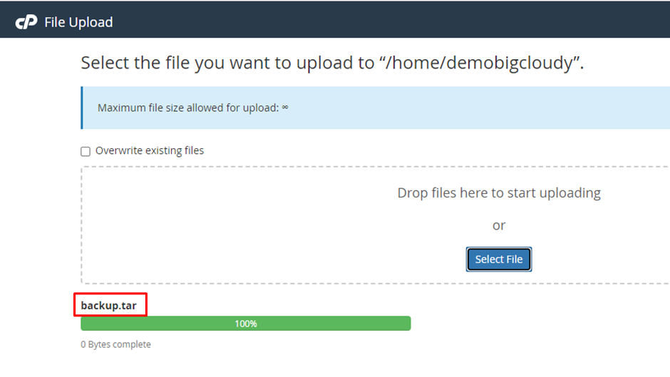 File Upload in File Manager | BigCloudy KB