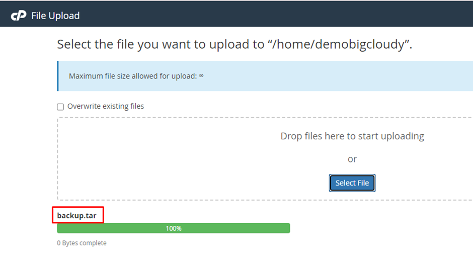 Select Backup File in File Manager | BigCloudy KB 