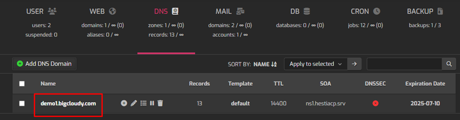 DNS Records in Hestia | BigCloudy KB 