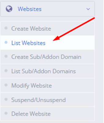 List of Websites on CyberPanel | BigCloudy KB 
