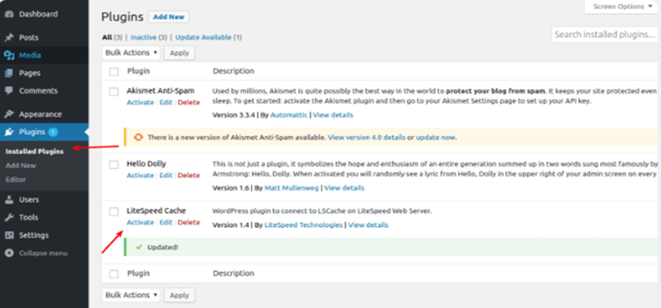 LiteSpeed Cache Plugin | BigCloudy KB