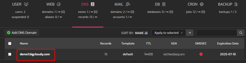 Add DNS Record in Hestia | BigCloudy KB 