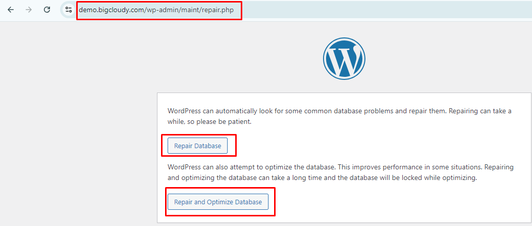 Optimize the WordPress Database | BigCloudy KB 