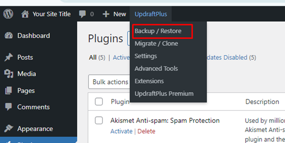 Backup or Restore Backup | BigCloudy KB