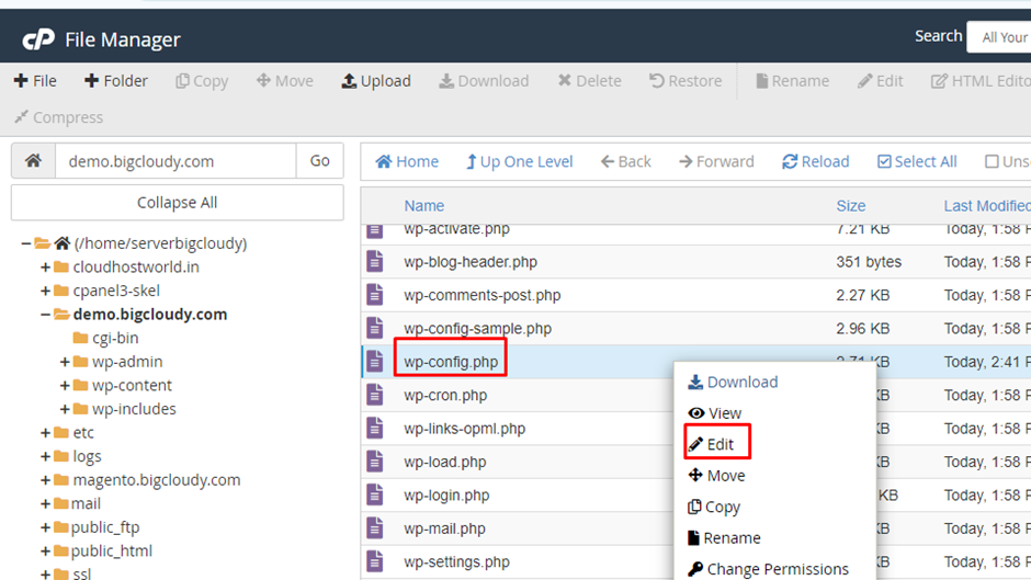 Edit PHP file in cPanel | BigCloudy KB 
