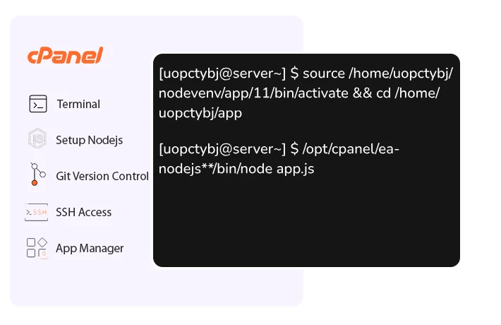 Expertise NodeJS and Deployment Support Terminal Control